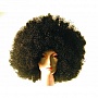 Lacey Wigs - Afro - Super Deluxe